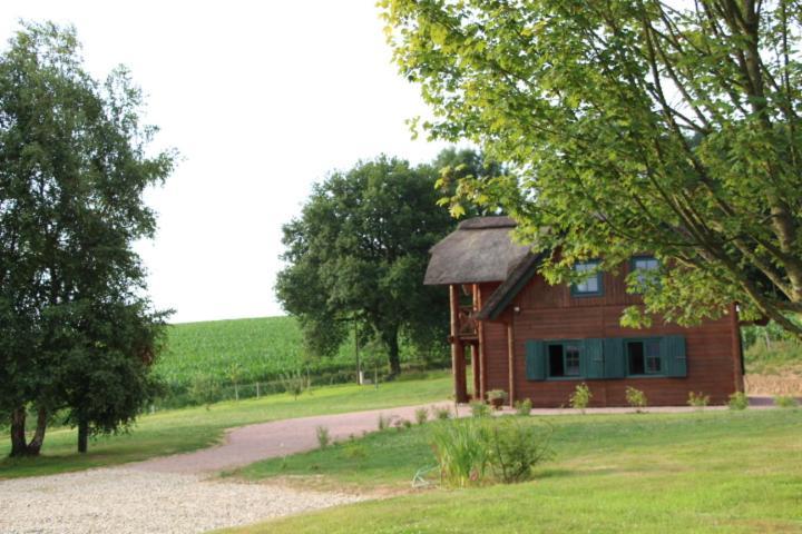 Chaumiere D'Albatre -Gite-Detente Nature Et Bien Etre Ourville-en-Caux Exterior photo